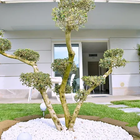 Apartament Agora *